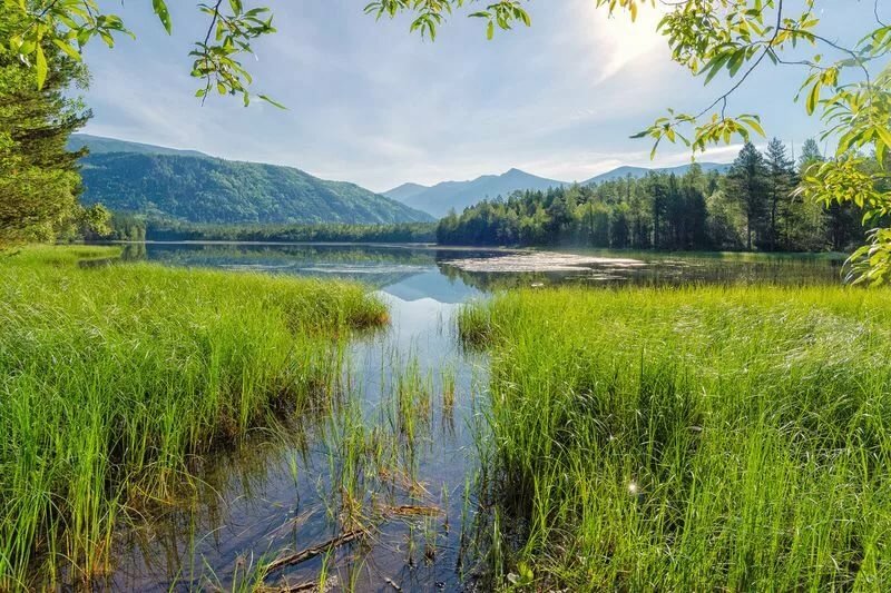 Правительство РФ предлагает разрешить приватизацию земель у водоемов