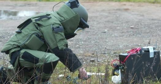 В Госдуму внесен законопроект о полномочиях по обезвреживанию боеприпасов