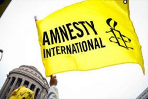 Василий Пискарев прокомментировал информацию о деятельности правозащитников из НПО «Amnesty International»